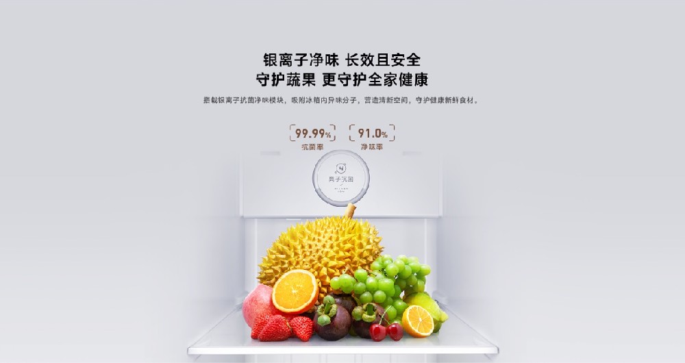 高端品牌冰箱和洗衣機(jī)為什么要采用納米銀抗菌技術(shù)？