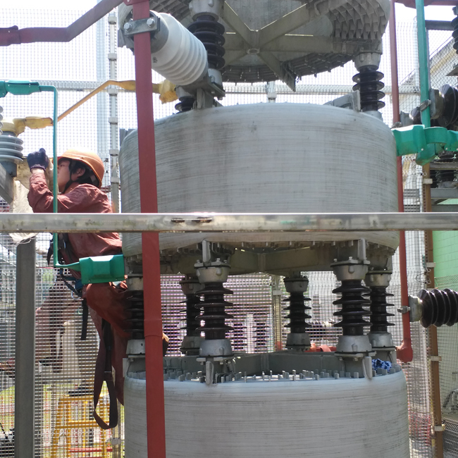 龍巖220kV赤水變電站10kV電容器Ⅰ、Ⅲ組支柱瓷瓶，全封閉干式放電線圈，串聯(lián)電抗器-（透明防污閃涂料）
